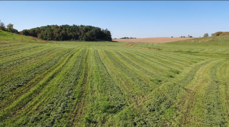 Alfalfa sulfur fertilizer Minnesota