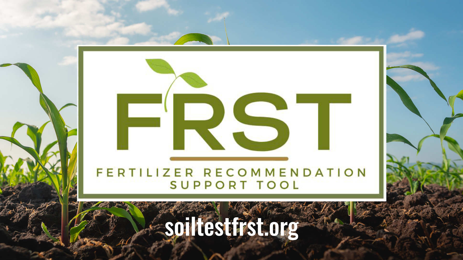 FRST Fertilizer Recommendation Support Tool launches nationwide to digitize crop nutrient management