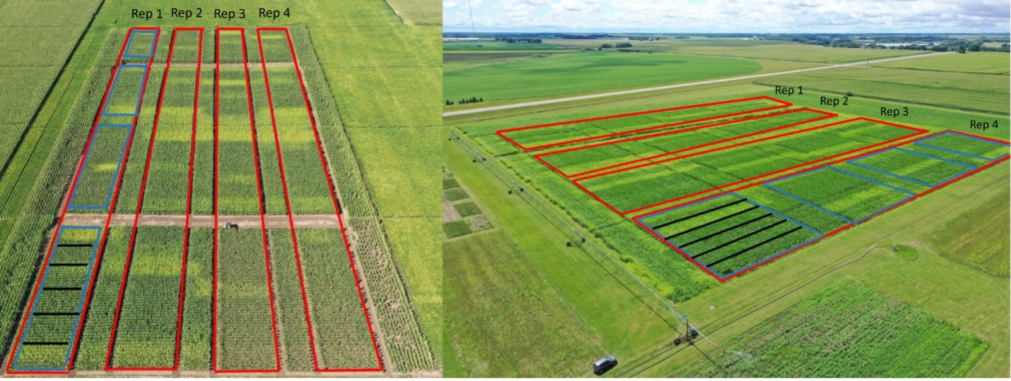 Aerial view of marked agricultural field experiment plots